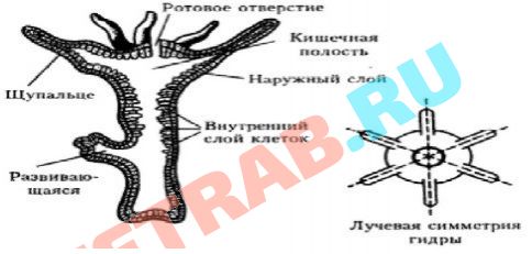 Кракен войти